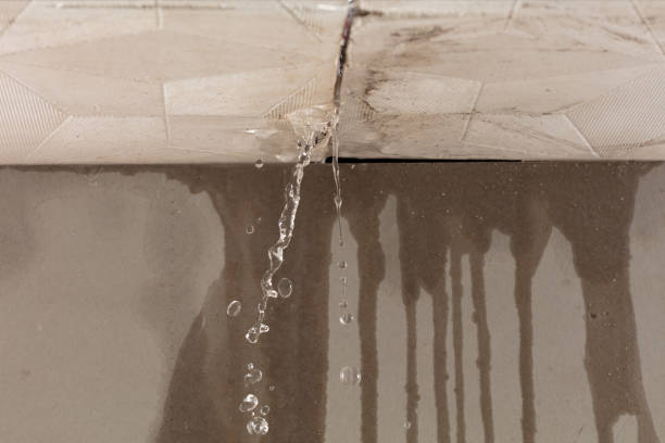 Professional Structural Drying technician working in New Wilmington, PA